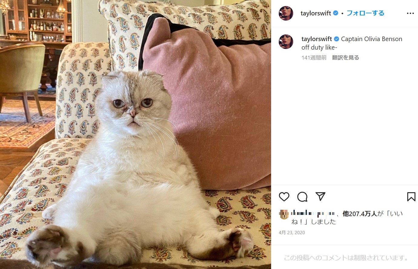 テイラーの愛猫・オリビア・ベンソンちゃん（画像は『Taylor Swift　2020年4月23日付Instagram「Captain Olivia Benson off duty like-」』のスクリーンショット）