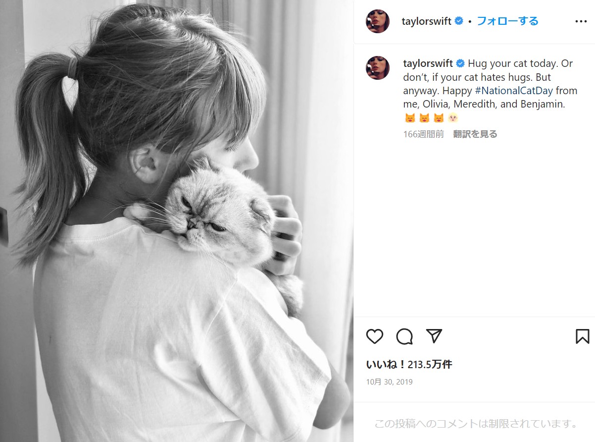 テイラーと愛猫・オリビアちゃん（画像は『Taylor Swift　2019年10月30日付Instagram「Hug your cat today.」』のスクリーンショット）
