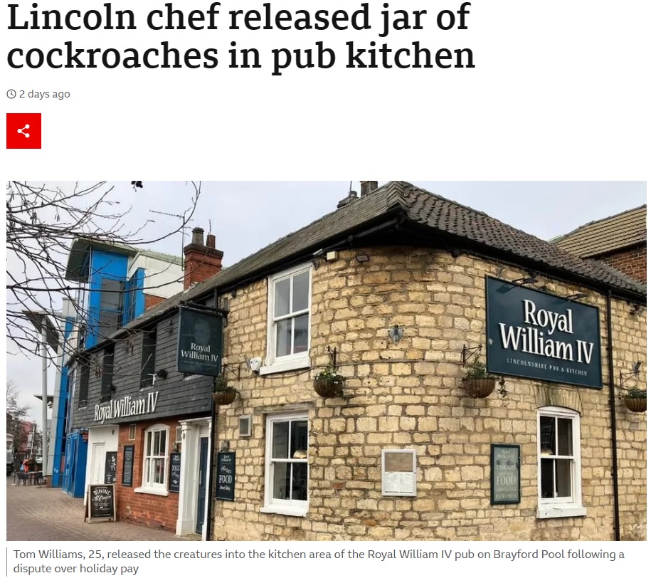170年の歴史を持つパブが思わぬ被害に（画像は『BBC　2023年1月23日付「Lincoln chef released jar of cockroaches in pub kitchen」』のスクリーンショット）
