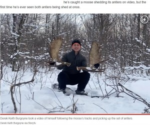 抜け落ちたばかりの角を見せるデレクさん（画像は『New York Post　2023年1月23日付「Moose loses antlers in ‘once-in-a-lifetime moment’ caught on video」（Derek Keith Burgoyne via Storyfu）』のスクリーンショット）