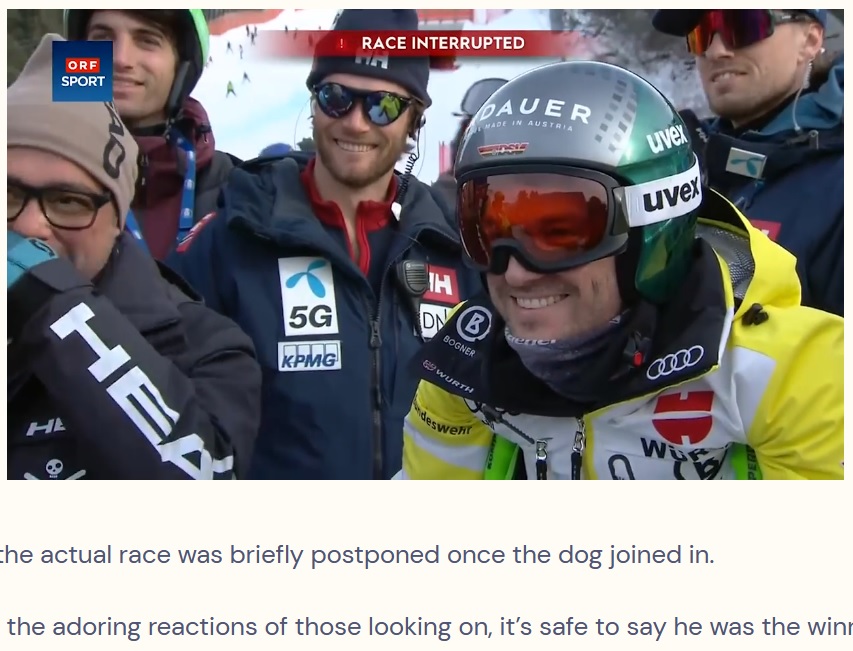 無邪気な犬の姿に選手たちは思わず笑顔に（画像は『The Dodo　2023年1月7日付「Random Dog Unexpectedly ‘Wins’ Downhill Skiing Race」（FACEBOOK/ORF SPORT）』のスクリーンショット）