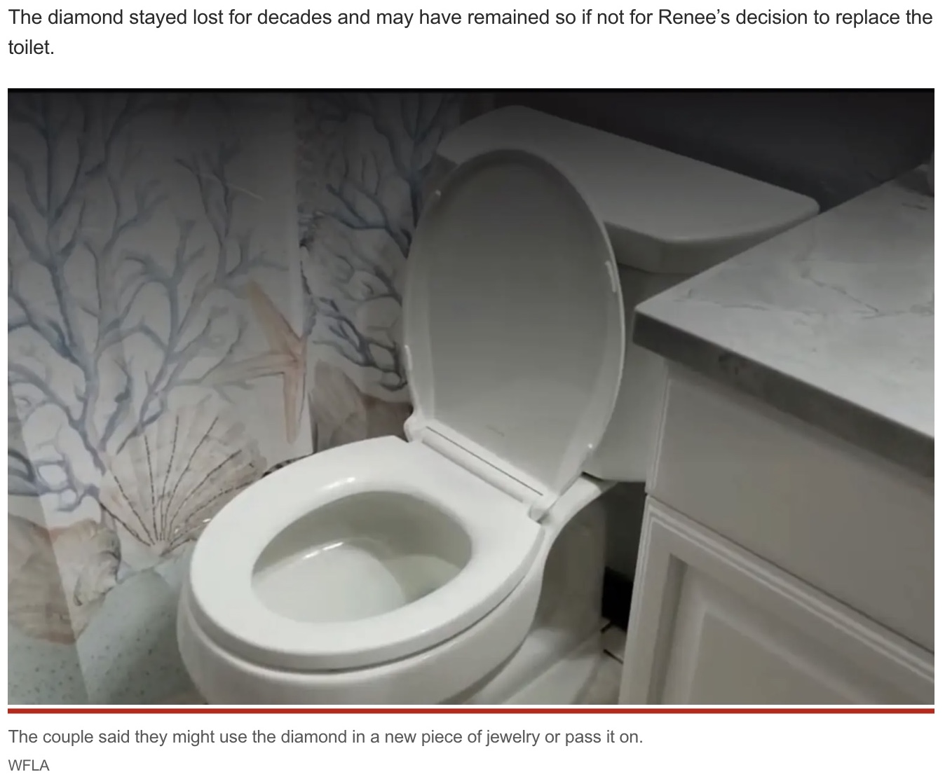 婚約指輪が発見されたトイレ（画像は『New York Post　2022年12月28日付「Couple find lost diamond engagement ring ― in their toilet ― after 21 years」（WFLA）』のスクリーンショット）
