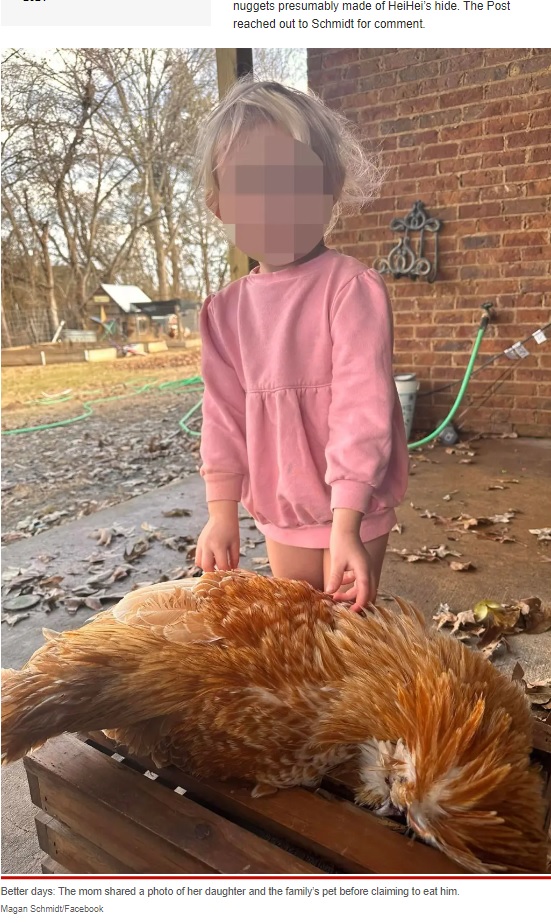 ぐったりした雄鶏と女児（画像は『New York Post　2023年1月19日付「Our pet rooster attacked my child ― so we had chicken nuggets for dinner」（Magan Schmidt/Facebook）』のスクリーンショット）