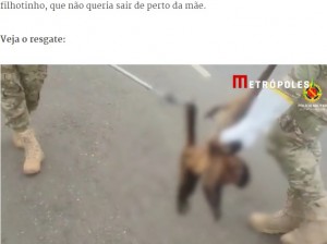 母から手を離さない子猿（画像は『Metrópoles　2022年12月30日付「Vídeo: filhote de macaco se agarra ao corpo da mãe, morta atropelada no DF」（Divulgação / PMDF）』のスクリーンショット）