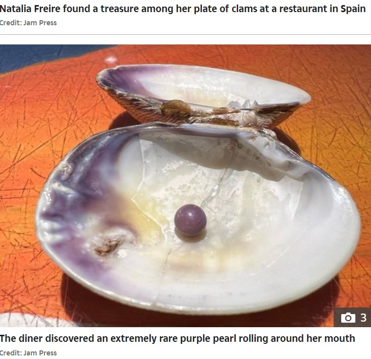 アサリの中から見つかった珍しい紫真珠（画像は『The Sun　2023年1月27日付「SHELL SHOCK I found a rare pearl worth ￡3,500 in my clam while dining at fancy restaurant - it made my date all the more romantic」（Credit: Jam Press）』のスクリーンショット）