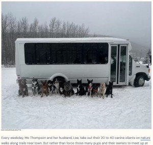 【海外発！Breaking News】犬専用の送迎バスで犬を迎えに行く夫婦　可愛すぎる車内の様子が大人気に（米）＜動画あり＞
