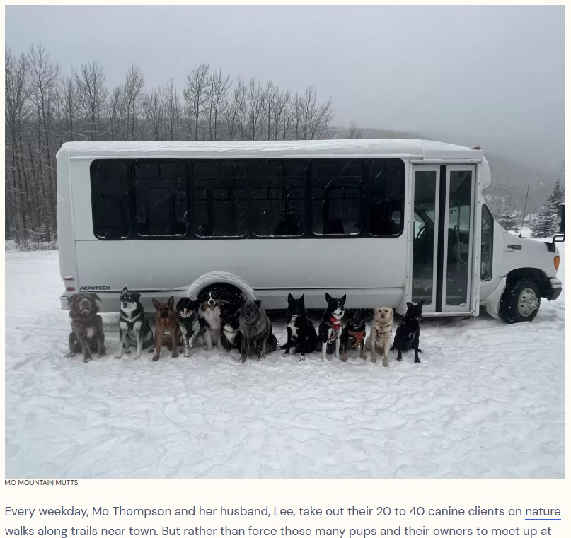 犬専用送迎バスの前で一列に並ぶ犬たち（画像は『The Dodo　2023年1月6日付「People Create A Pup Bus To Take Neighborhood Dogs Out On Little Adventures」（MO MOUNTAIN MUTTS）』のスクリーンショット）