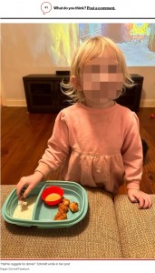 チキンナゲットを食べる女児（画像は『New York Post　2023年1月19日付「Our pet rooster attacked my child ― so we had chicken nuggets for dinner」（Magan Schmidt/Facebook）』のスクリーンショット）