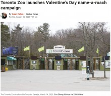 【海外発！Breaking News】元恋人や上司の名前を「ゴキブリにつけませんか？」　バレンタインデーを前にカナダの動物園が珍企画を開催