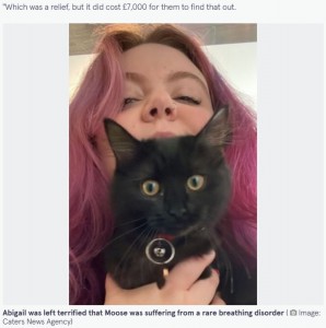 ムースの呼吸を心配したアビゲイルさん（画像は『The Mirror　2023年1月18日付「Student spends ￡7,000 on vet bills just to find out that she has a ‘weird’ cat」（Image: Caters News Agency）』のスクリーンショット）
