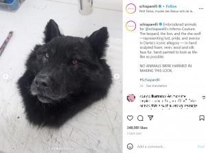 「スキャパレリ」が公開したオオカミの頭部のレプリカ（画像は『Schiaparelli　2023年1月23日付Instagram「Embroidered animals for ＠schiaparelli’s Inferno Couture.」』のスクリーンショット）