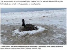 【海外発！Breaking News】寒さで凍りついた湖に取り残された渡り鳥、消防隊員が温めた水をかけて救出（米）