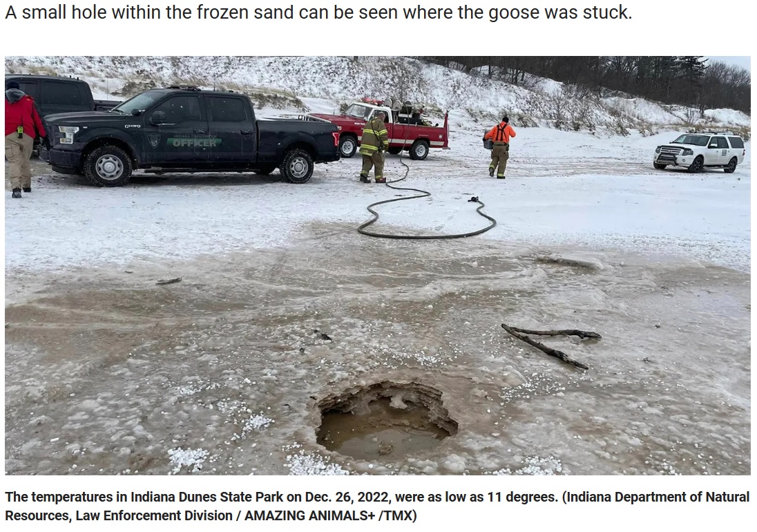 インディアナ・デューンズ国立公園でこの日はマイナス11度の寒さを記録していた（画像は『Fox News　2023年1月3日付「Indiana firemen rescue goose trapped in frozen sand along Lake Michigan shore」（Indiana Department of Natural Resources, Law Enforcement Division / AMAZING ANIMALS+ /TMX）』のスクリーンショット）