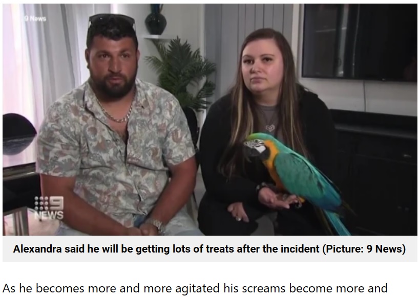 初めての留守番で強盗を追い払ったヴェルサーチ、左はアレクサンドラさん（画像は『Metro　2023年1月6日付「Shrieking pet parrot scares off burglars who tried to break into family home」（Picture: 9 News）』のスクリーンショット）