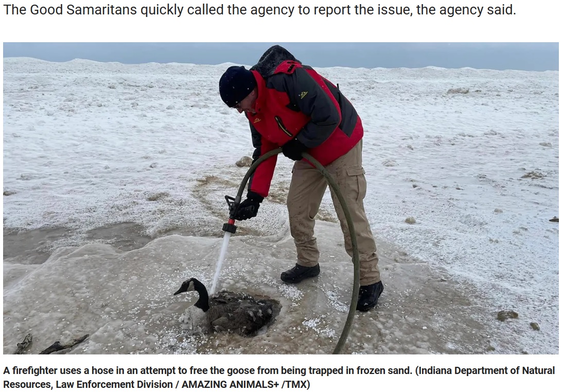 温水をかけて氷を溶かす消防隊員（画像は『Fox News　2023年1月3日付「Indiana firemen rescue goose trapped in frozen sand along Lake Michigan shore」（Indiana Department of Natural Resources, Law Enforcement Division / AMAZING ANIMALS+ /TMX）』のスクリーンショット）