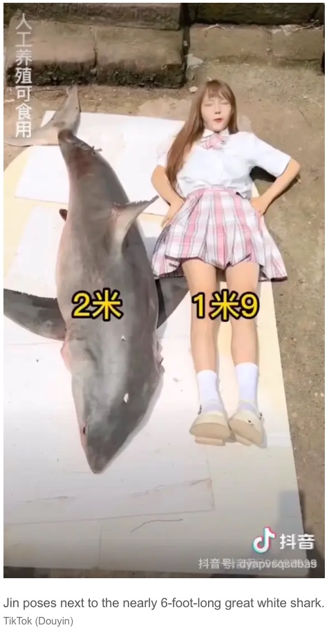 体長2メートルものホオジロザメ（画像は『New York Post　2023年1月30日付「Food blogger fined ＄18.5K for grilling and eating great white shark」（TikTok（Douyin））』のスクリーンショット）