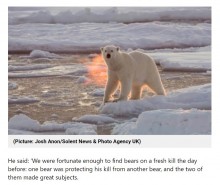 【海外発！Breaking News】朝日が作り出した幻想的な写真　北極で撮影されたシロクマが「火を噴いている！」と話題に