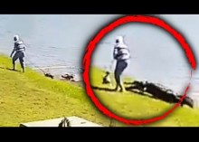 ワニに襲われる直前の映像公開、犬を散歩中の85歳女性死亡で（米）＜動画あり＞