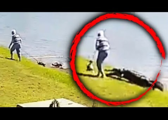 犬を狙って水中から現れたワニ（画像は『Inside Edition　2023年2月23日公開YouTube「911 Call Reveals Moments After Gator Attacks Elderly Woman」』のサムネイル）
