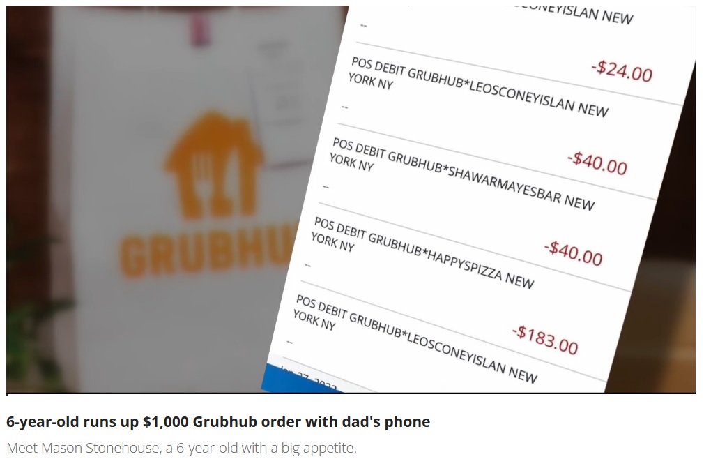 複数のレストランでピザやアイスクリームなどを注文（画像は『FOX 2 Detroit　2023年1月31日付「6-year-old runs up ＄1,000 Grubhub dinner bill with dad’s phone」』のスクリーンショット）