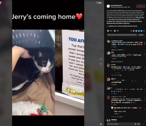 新しい家族のもとへ向かうジェリー（画像は『Humane Society Broward County　2023年1月27日付TikTok「Jerry was adopted!」』のスクリーンショット）