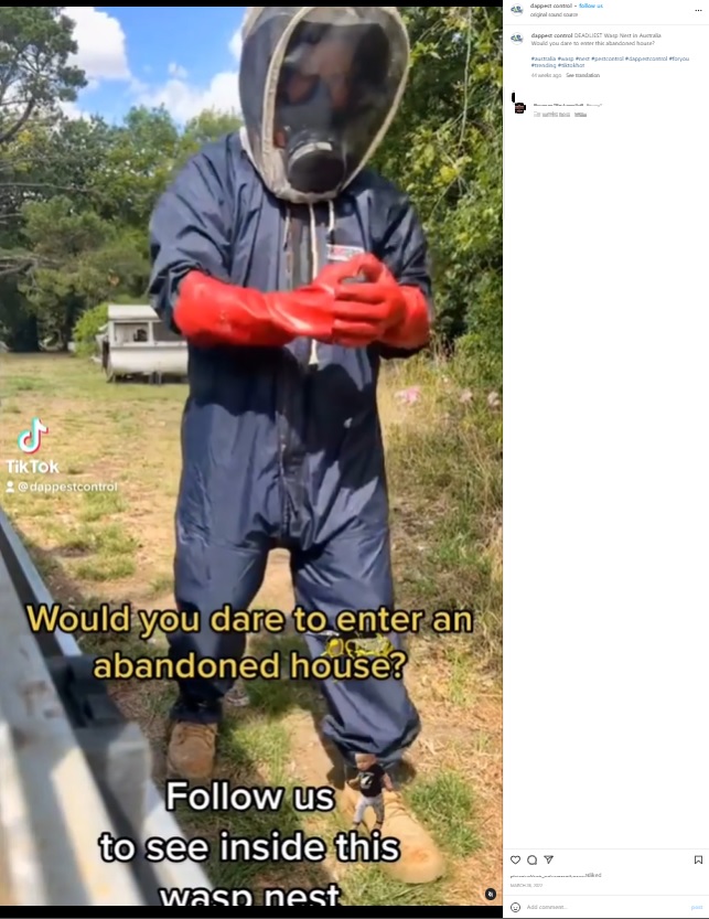スズメバチの巣の駆除に向かう駆除業者の男性（画像は『DAP Pest Control　2022年3月28日付Instagram「DEADLIEST Wasp Nest in Australia」』のスクリーンショット）