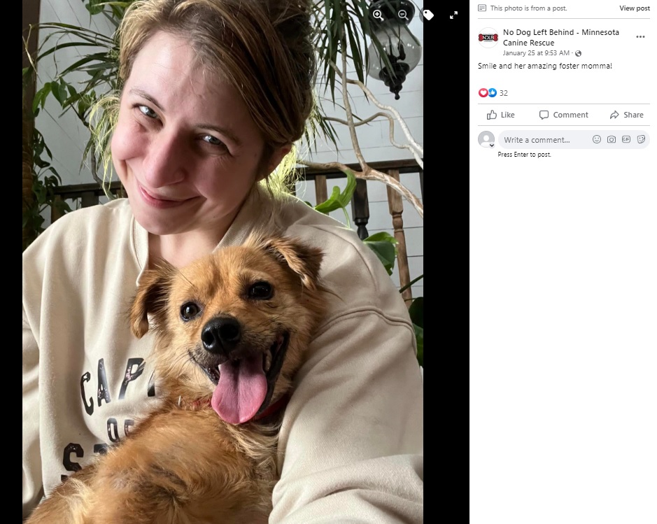 自宅で“スマイル”のケアを続けるステファニーさん（画像は『No Dog Left Behind - Minnesota Canine Rescue　2023年1月25日付Facebook「Smile and her amazing foster momma!」』のスクリーンショット）