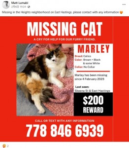 マーリーを見つけるためにマットさんが作成したポスター（画像は『Matt Lumabi　2023年2月6日付Facebook「Missing in the Heights neighborhood on East Hastings.」』のスクリーンショット）