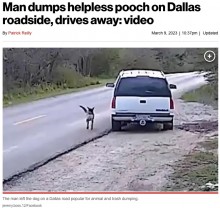 道端に置き去りにされた犬、車を必死に追いかける監視カメラの映像により飼い主を逮捕（米）＜動画あり＞