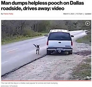 【海外発！Breaking News】道端に置き去りにされた犬、車を必死に追いかける監視カメラの映像により飼い主を逮捕（米）＜動画あり＞