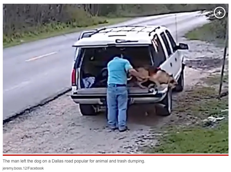 車の荷台から放り出される犬（画像は『New York Post　2023年3月9日付「Man dumps helpless pooch on Dallas roadside, drives away: video」（jeremy.boss.12/Facebook）』のスクリーンショット）