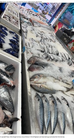 【海外発！Breaking News】冷蔵庫に入れたコイ科の魚、翌日取り出すと生きていてそのままペットに（英）