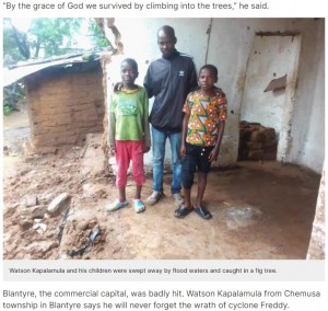 イチジクの木に助けられた父子（画像は『GroundUp　2023年3月17日付「Mango tree saves top Malawian musician from death in floods」（Photos: supplied）』のスクリーンショット）