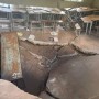 【海外発！Breaking News】小学校の教室の床が突然陥没、飲み込まれた生徒17人が重軽傷（ジンバブエ）
