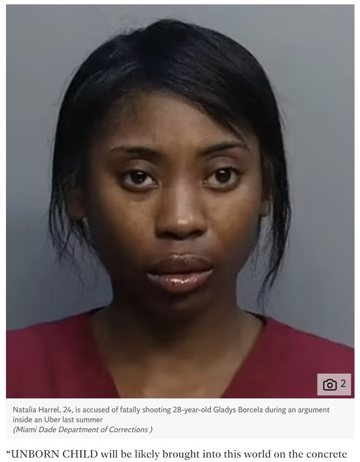 無罪を主張した上に釈放を求めた24歳の女（画像は『The Independent　2023年2月22日付「Pregnant woman argues her unborn baby is being illegally detained at Florida jail」（Miami Dade Department of Corrections）』のスクリーンショット）