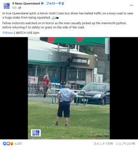 バス運転手は近くの芝生までヘビを運んだ（画像は『9 News Queensland　2023年3月7日付Facebook「In true Queensland spirit,」』のスクリーンショット）