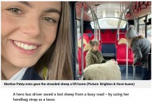 【海外発！Breaking News】高速道路で迷子の羊を保護したバス運転手、乗客とともに牧場主へ送り届ける（英）＜動画あり＞