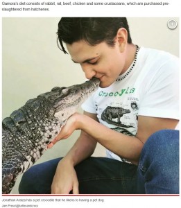 ワニの“ガモーラ”とキスをするジョナサンさん（画像は『New York Post　2023年3月14日付「I have a pet crocodile that acts like a dog ― she even sleeps with me」（Jam Press/＠turtlesandcrocs）』のスクリーンショット）