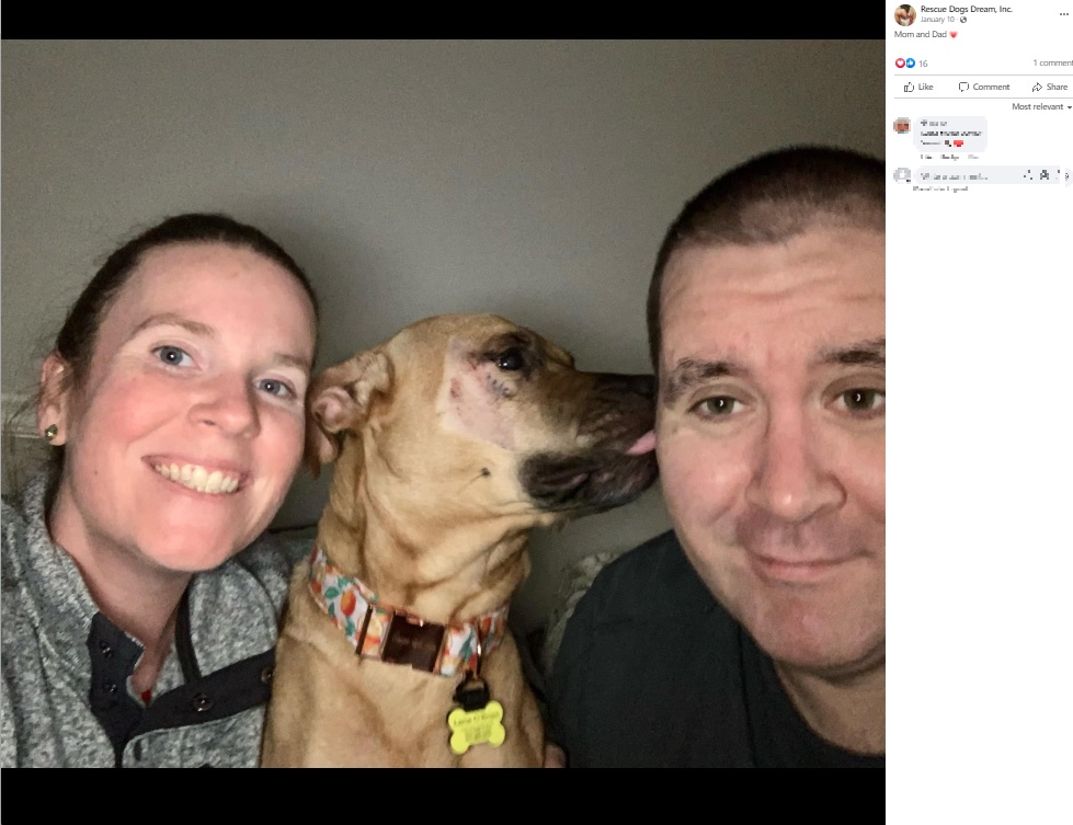 手術後のレネと新しい家族（画像は『Rescue Dogs Dream, Inc.　2023年1月10日付Facebook「Dutchess （Now Lena） found her FOREVER HOME」』のスクリーンショット）