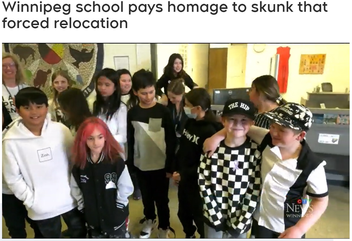 悪臭騒動で別の場所で授業を受けていた児童たち。学校に戻ってきたこの日を祝い、1週間毎日テーマを変えてイベントを開催する「スピリットウィーク」の開始日とし、スカンクの色である黒や白の服を着て登校することに（画像は『CTV News Winnipeg　2023年3月22日付「Winnipeg school pays homage to skunk that forced relocation」』のスクリーンショット）