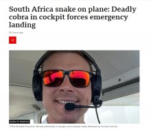 【海外発！Breaking News】飛行中、猛毒のケープコブラが背中に！　パニック必至も無事着陸させたパイロット（南ア）