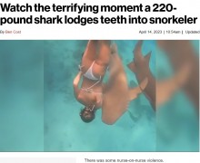 【海外発！Breaking News】体重約100キロのコモリザメ、シュノーケリング中の女性を襲い歯形がくっきり！（モルディブ）＜動画あり＞