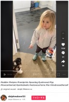【海外発！Breaking News】ペンキ塗りたての壁に手形を付けた3歳女の子　「やったの誰？」と聞かれて犬を指差す（英）＜動画あり＞