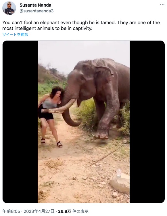 女性は手に持ったバナナをゾウにあげる素振りをするも、与えずじまいだった。ゾウはそれに気づいたのか、鼻で女性を投げ飛ばした（画像は『Susanta Nanda　2023年4月27日付Twitter「You can’t fool an elephant even though he is tamed.」』のスクリーンショット）