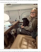【海外発！Breaking News】プライベートジェットで愛犬と国外へ引っ越し　航空会社を利用するより60万円以上の節約に（米）