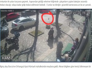 監視カメラの映像には、クリニック前の車の通りが激しい道路を、ネコが足を引きずりながら速足で渡ってくるのが映し出されていた。ネコはこの後、開いたドアからクリニックの中へ入っていった（画像は『Orhangazi TV　2023年3月27日付「ORHANGAZİ’DE YARALI KEDİ KENDİ İMKANLARI İLE VETERİNER KLİNİĞİNE GELDİ!」』のスクリーンショット）