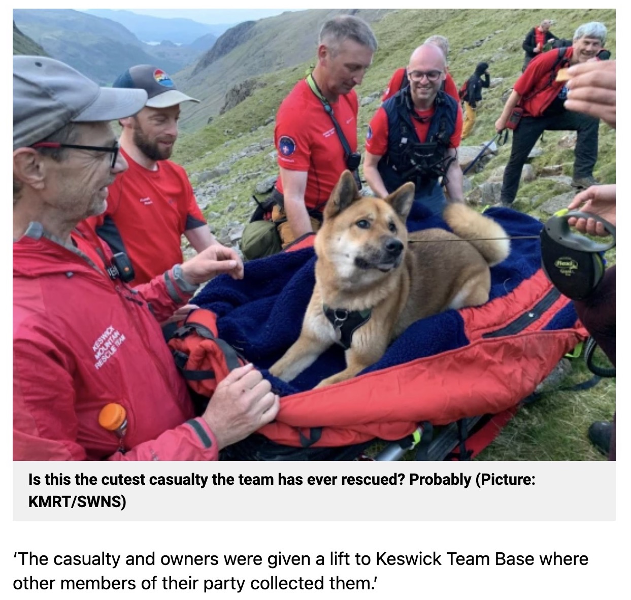 33キロの大型犬を13人がかりで救出した山岳救助隊。報道後に「彼らはヒーロー」と称えられるも、「犬を救助するために13人というのはおかしい」と疑問視する声も（画像は『Metro　2023年5月15日付「Mountain rescue sent up Scafell Pike to stretcher dog ‘too tired’ to walk down」（Picture: KMRT/SWNS）』のスクリーンショット）