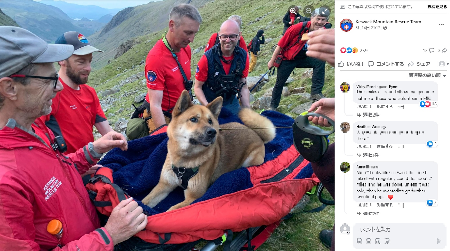 大人しく担架に乗る犬に、優しく微笑みかける救助隊員ら。犬は問題無さそうに見えるが、長時間の山登りで疲れ果て、足に切り傷を負っていた（画像は『Keswick Mountain Rescue Team　2023年5月14日付Facebook「Incident 42 Location: Grains Gill」』のスクリーンショット）