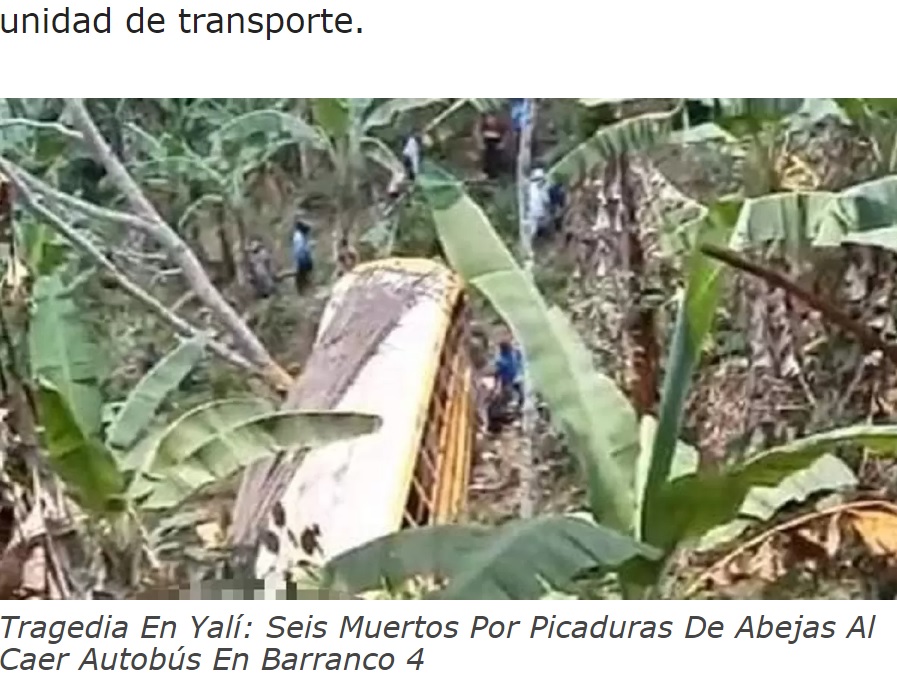 運転手がコントロールを失い、道路から約50メートル下のコーヒー農園に転落したバス。乗客45人が殺人蜂「アフリカナイズドミツバチ」に襲われた（画像は『La Nueva Radio YA　2023年5月8日付「Tragedia en Yalí」』のスクリーンショット）
