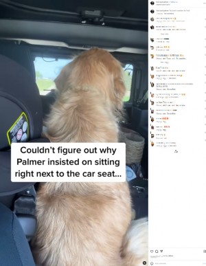【海外発！Breaking News】チャイルドシートの隣に座りたがる飼い犬、その理由にほっこり（米）＜動画あり＞